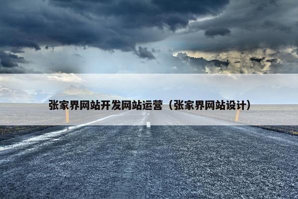 张家界网站开发网站运营（张家界网站设计）