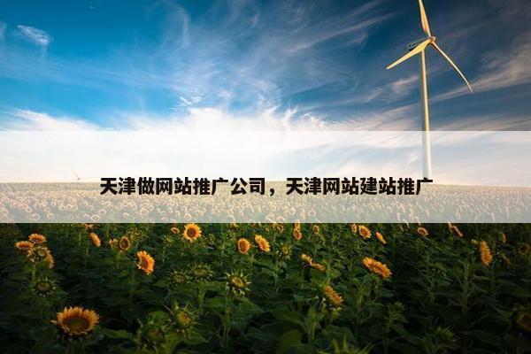 天津做网站推广公司，天津网站建站推广