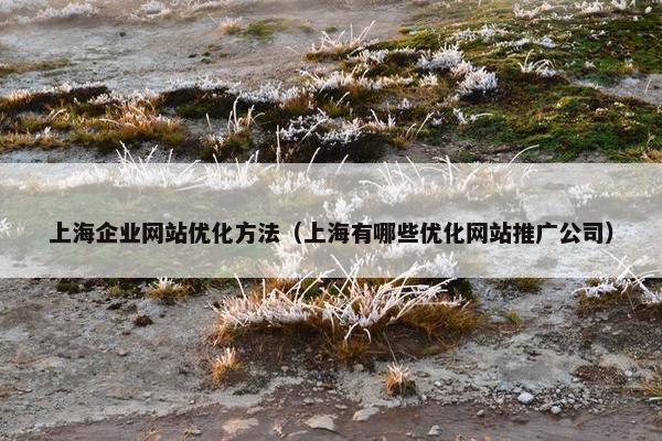 上海企业网站优化方法（上海有哪些优化网站推广公司）