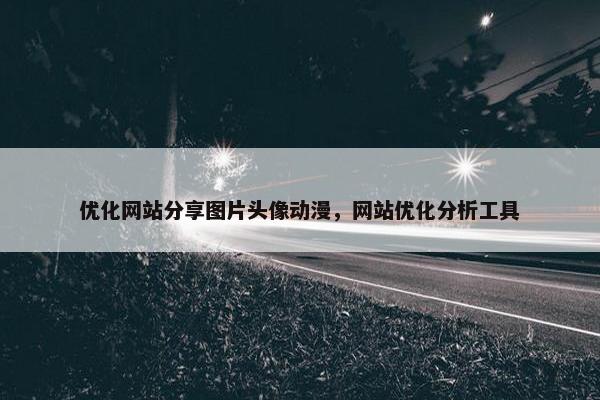 优化网站分享图片头像动漫，网站优化分析工具