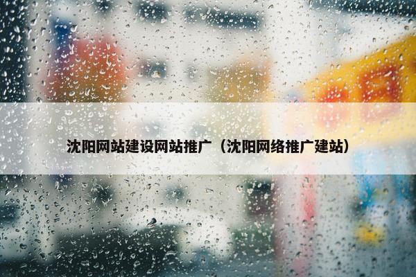 沈阳网站建设网站推广（沈阳网络推广建站）