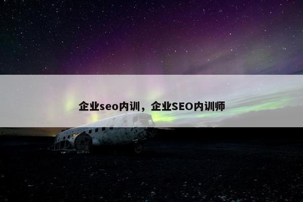 企业seo内训，企业SEO内训师