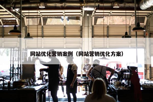 网站优化营销案例（网站营销优化方案）