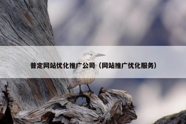 普定网站优化推广公司（网站推广优化服务）