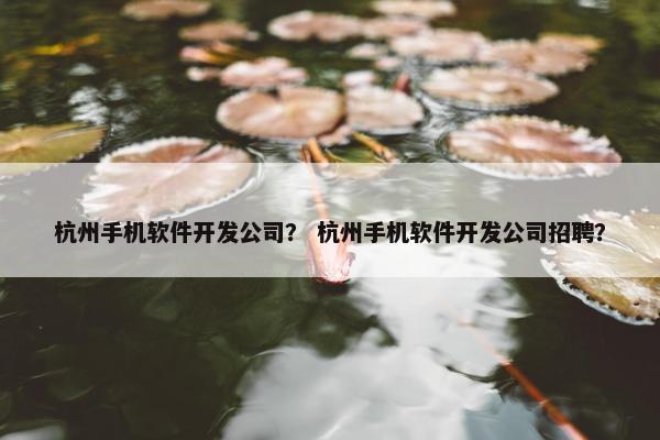 杭州手机软件开发公司？ 杭州手机软件开发公司招聘？