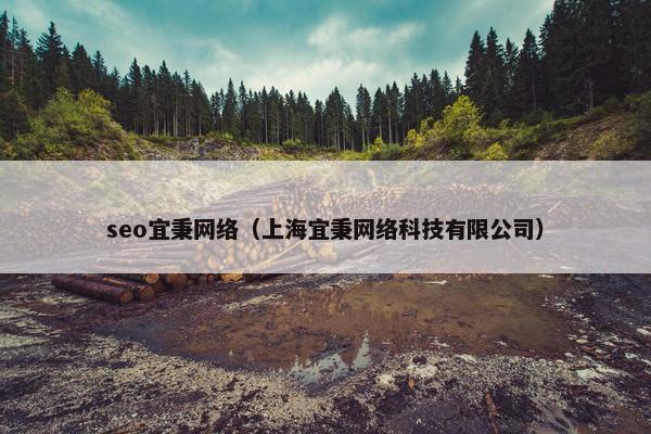seo宜秉网络（上海宜秉网络科技有限公司）