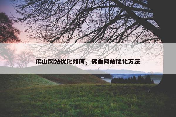 佛山网站优化如何，佛山网站优化方法