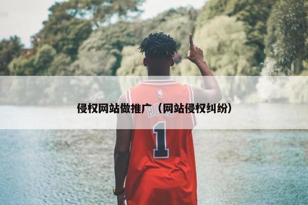 侵权网站做推广（网站侵权纠纷）