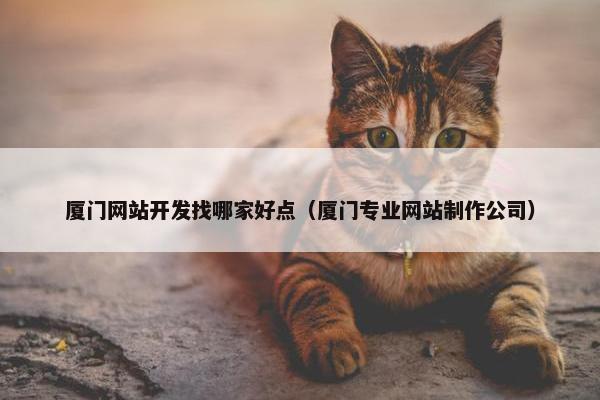 厦门网站开发找哪家好点（厦门专业网站制作公司）