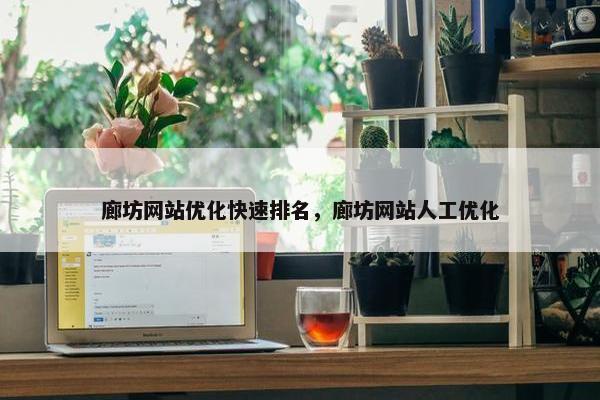 廊坊网站优化快速排名，廊坊网站人工优化