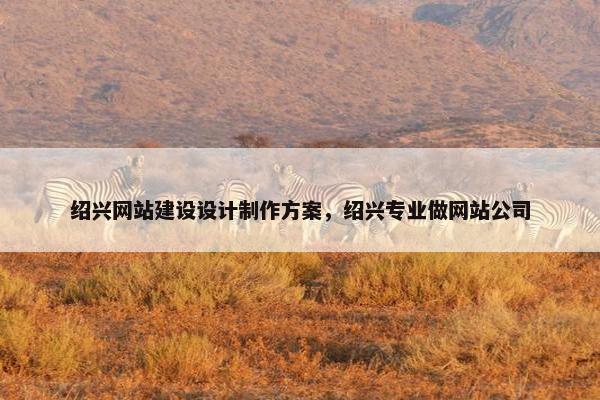 绍兴网站建设设计制作方案，绍兴专业做网站公司