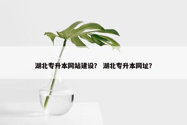 湖北专升本网站建设？ 湖北专升本网址？