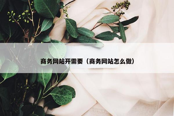 商务网站开需要（商务网站怎么做）