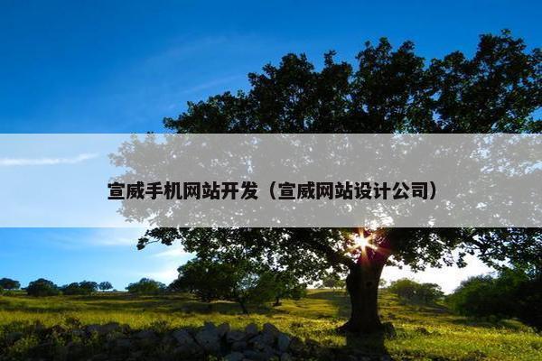 宣威手机网站开发（宣威网站设计公司）