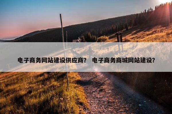 电子商务网站建设供应商？ 电子商务商城网站建设？