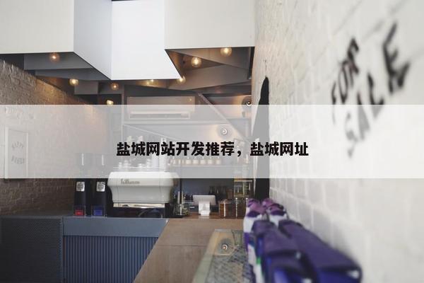 盐城网站开发推荐，盐城网址