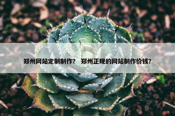 郑州网站定制制作？ 郑州正规的网站制作价钱？