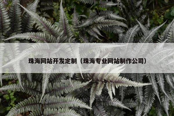 珠海网站开发定制（珠海专业网站制作公司）