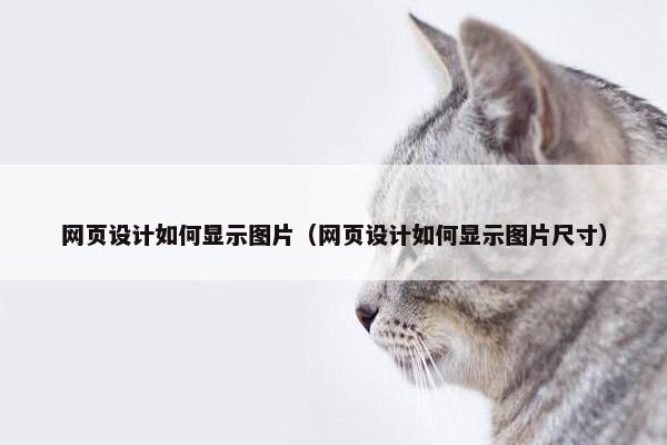 网页设计如何显示图片（网页设计如何显示图片尺寸）