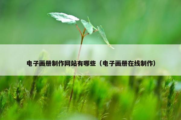 电子画册制作网站有哪些（电子画册在线制作）