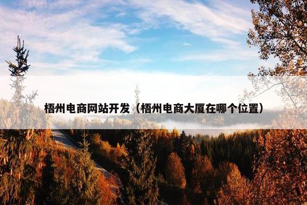 梧州电商网站开发（梧州电商大厦在哪个位置）