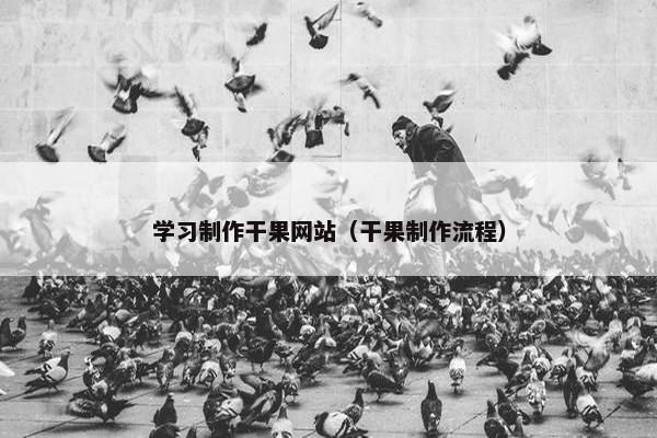 学习制作干果网站（干果制作流程）