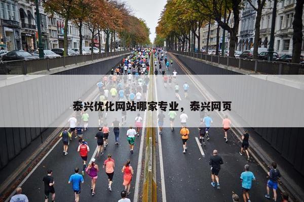 泰兴优化网站哪家专业，泰兴网页