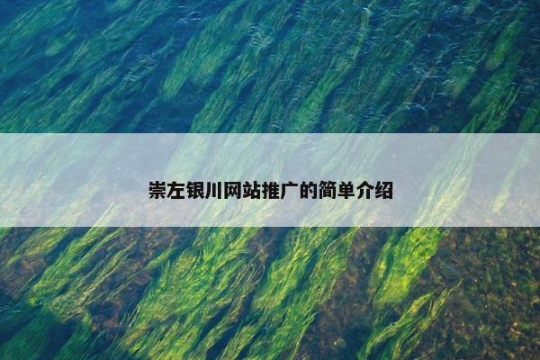 崇左银川网站推广的简单介绍