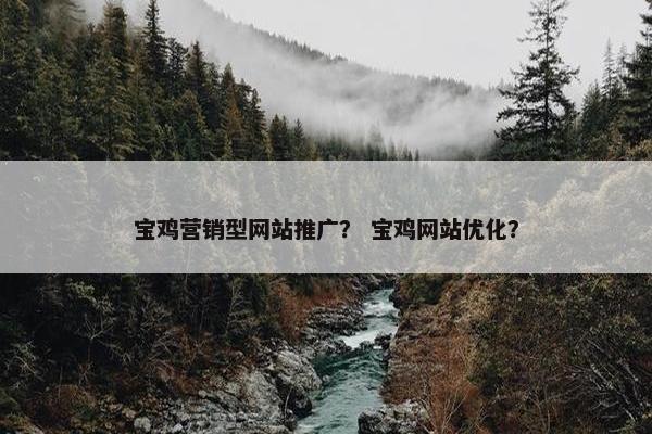 宝鸡营销型网站推广？ 宝鸡网站优化？
