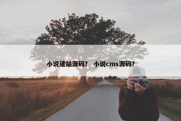 小说建站源码？ 小说cms源码？
