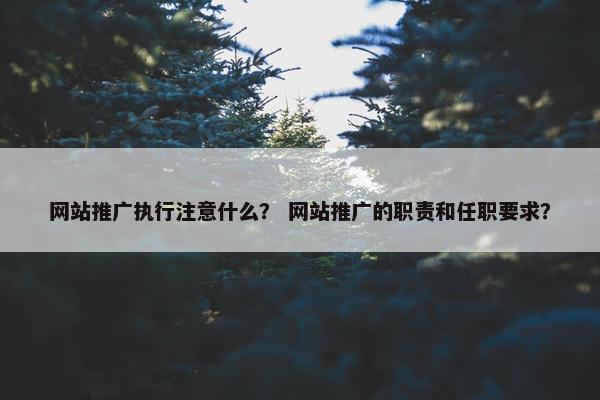 网站推广执行注意什么？ 网站推广的职责和任职要求？