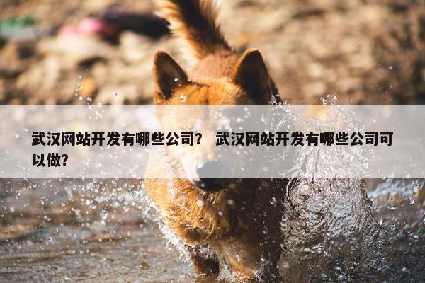 武汉网站开发有哪些公司？ 武汉网站开发有哪些公司可以做？