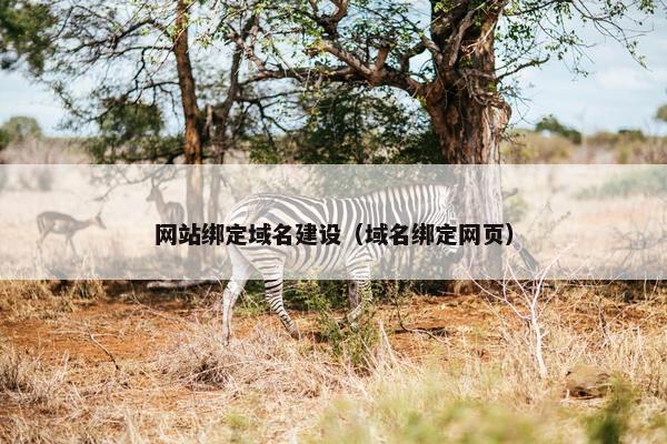 网站绑定域名建设（域名绑定网页）