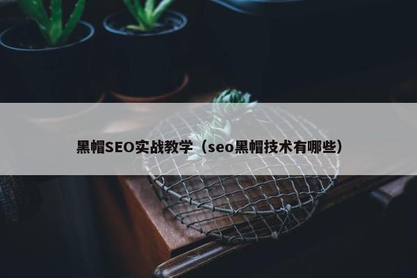 黑帽SEO实战教学（seo黑帽技术有哪些）