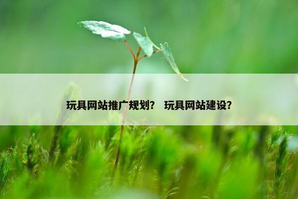 玩具网站推广规划？ 玩具网站建设？