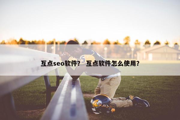 互点seo软件？ 互点软件怎么使用？