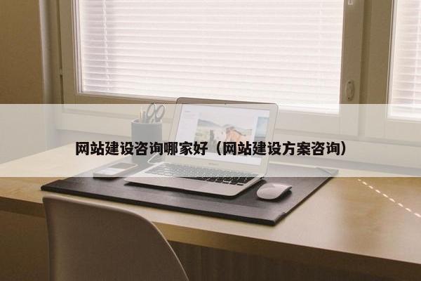 网站建设咨询哪家好（网站建设方案咨询）