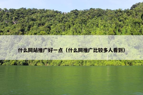 什么网站推广好一点（什么网推广比较多人看到）