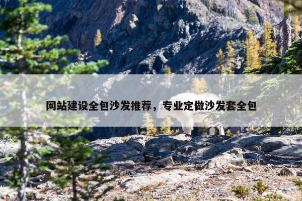 网站建设全包沙发推荐，专业定做沙发套全包