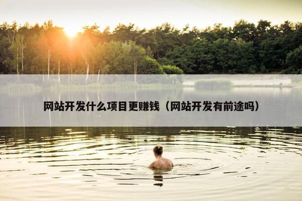网站开发什么项目更赚钱（网站开发有前途吗）