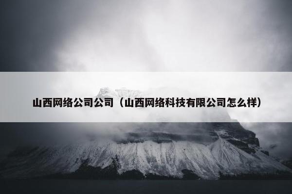 山西网络公司公司（山西网络科技有限公司怎么样）