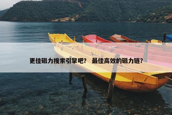 更佳磁力搜索引擎吧？ 最佳高效的磁力链？