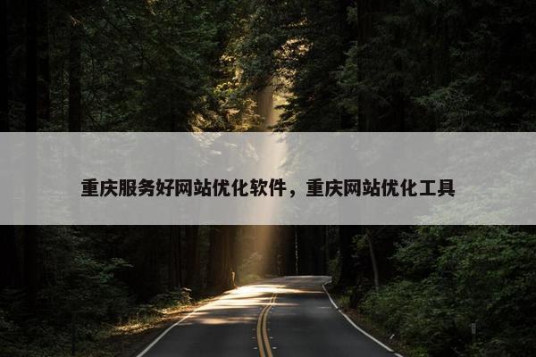 重庆服务好网站优化软件，重庆网站优化工具