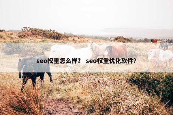seo权重怎么样？ seo权重优化软件？