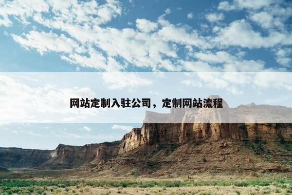 网站定制入驻公司，定制网站流程