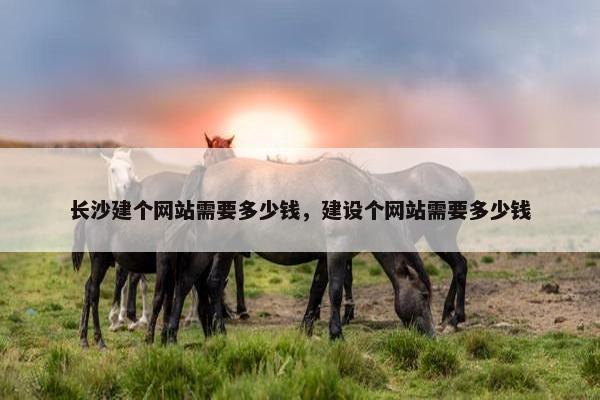 长沙建个网站需要多少钱，建设个网站需要多少钱