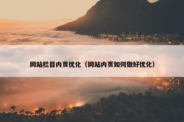 网站栏目内页优化（网站内页如何做好优化）