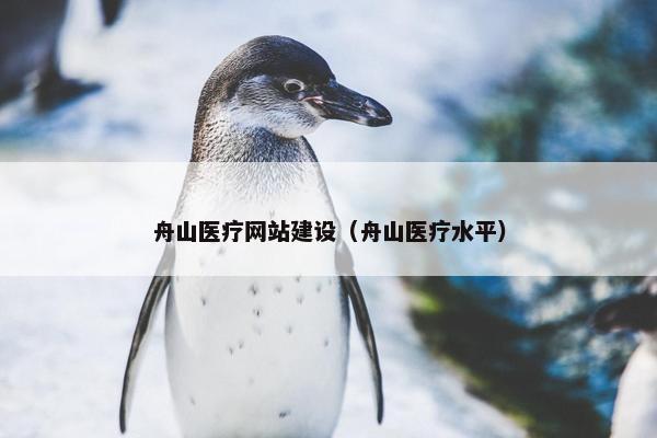 舟山医疗网站建设（舟山医疗水平）
