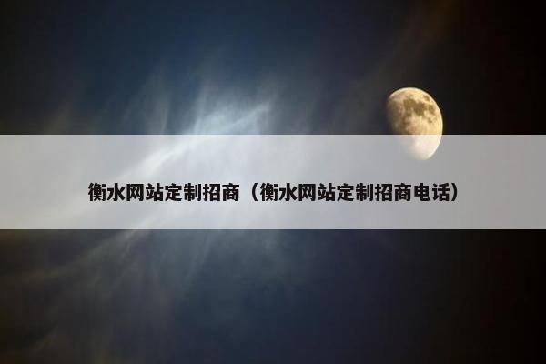衡水网站定制招商（衡水网站定制招商电话）