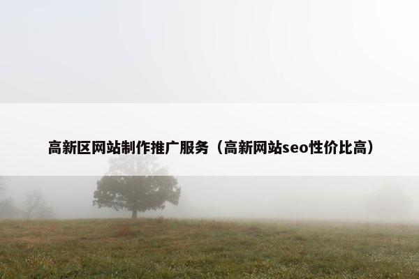 高新区网站制作推广服务（高新网站seo性价比高）